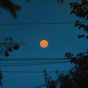 vr欧美人成在线播放
